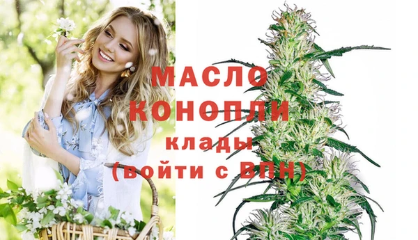 сатива Алексеевка